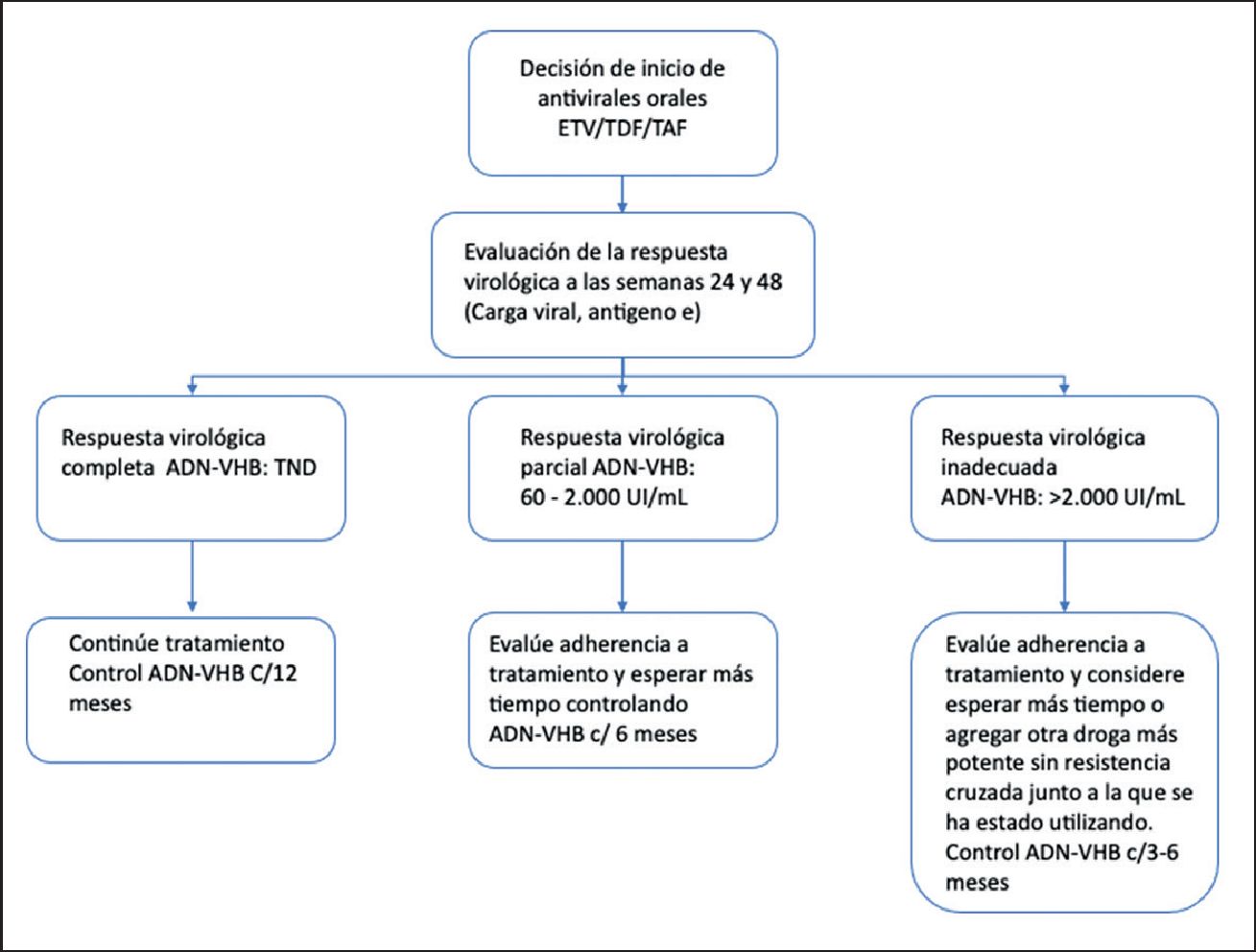 orientaci-n-t-cnica-manejo-y-tratamiento-de-la-infecci-n-por-virus-de